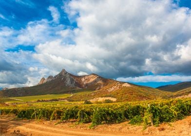 Crimean landscape