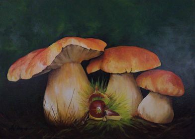 Mushrooms and acorns
