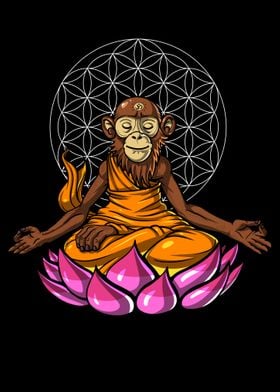 Monkey Buddha Meditation