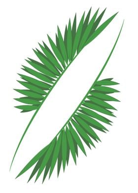 Palm Leaf