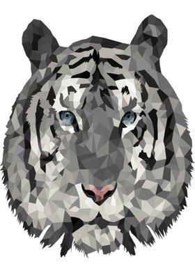 Tiger illustration