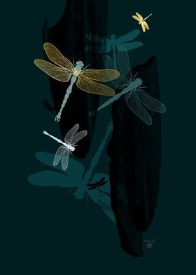 Midnight Dragonflies