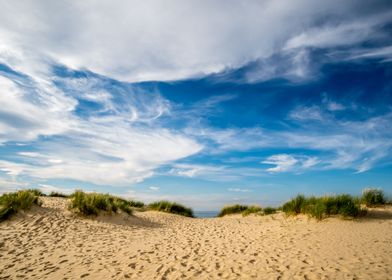 Wells Beach Sand Dunes