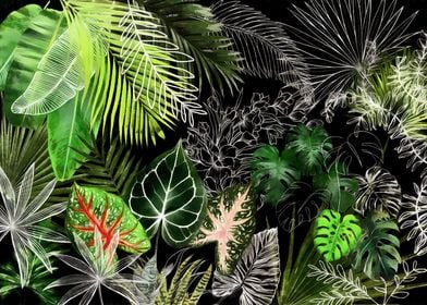 Tropical Foliage 04