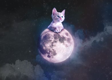 Kitten Cat on the Moon