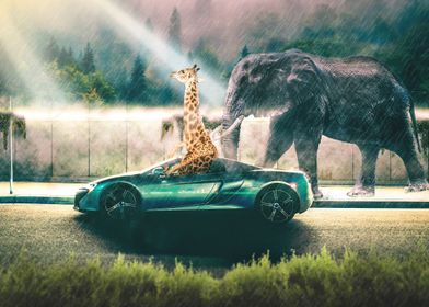 Giraffe Car Jungle