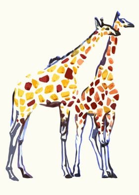 Giraffes 