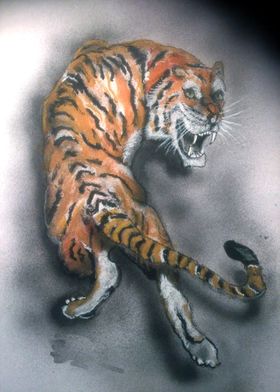 Tiger 