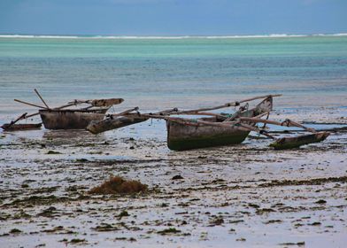 Beached boats