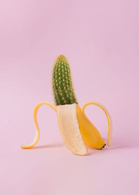 banana cactus