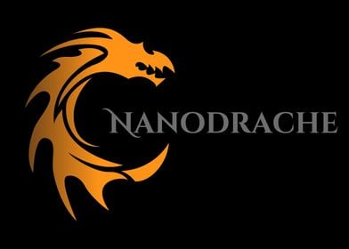 Nanodrache Logo Black