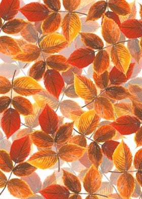 Autumn leaves on white