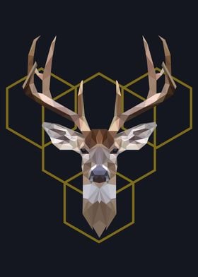 deer polygon symmetric