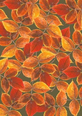 Autumn leaves on brown