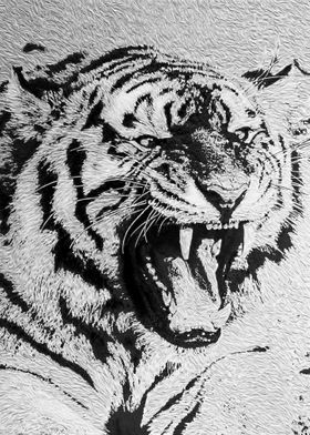 Tiger High Contrast