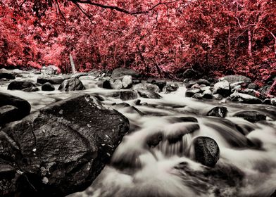  River infrared foliage