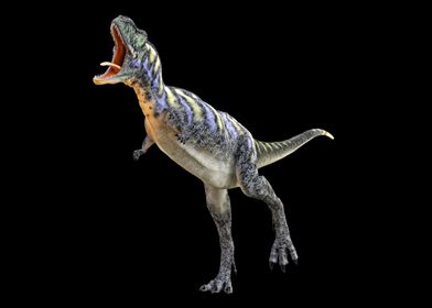 Aucasaurus Dinosaur
