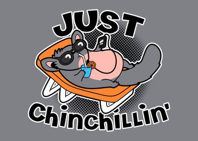 Just Chinchillin