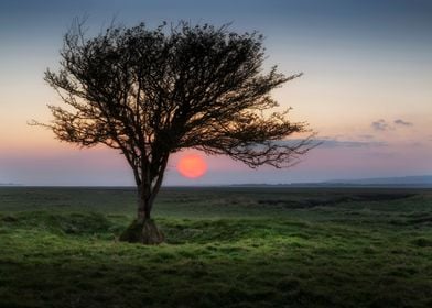 Sunset at Penclawdd