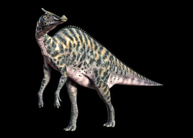 Saurolophus Dinosaur