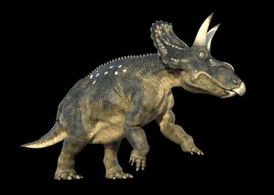 Nedoceratops Dinosaur