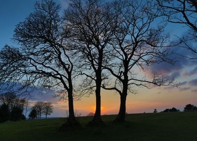 Ravenhill park sunset