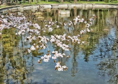 Flowers are part of nature