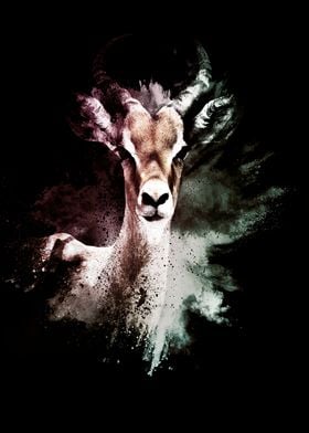 The Antelope