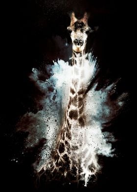 The Giraffe