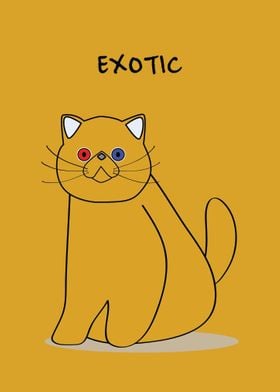 Exotic Peaknose Cat