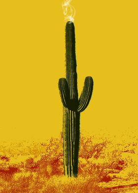 Flaming Saguaro Cactus