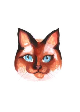 Blue eye cat portrait 