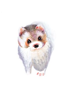Ferret portrait