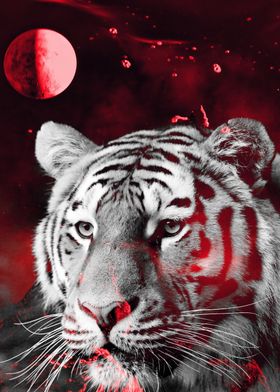 Tiger from the galaxy red