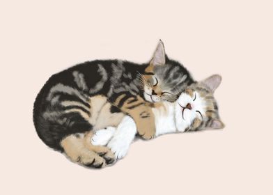 Snuggly sleeping kittens