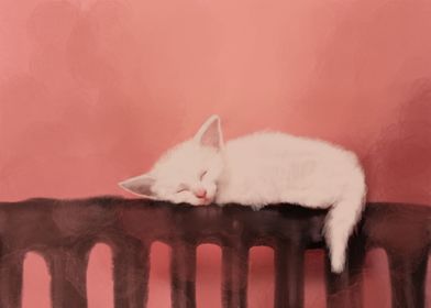 Sweet dreams kitten