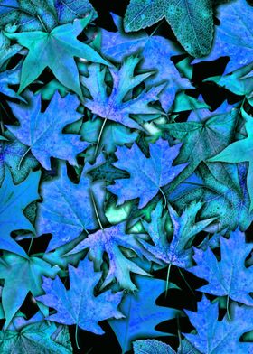 Fall Leaves in Blue