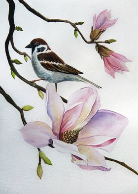 Magnolia and Sparrow