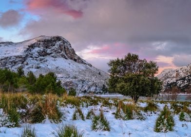 Snowy mountain in Mallorca