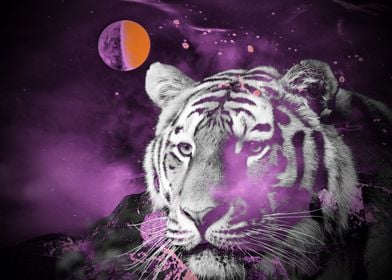 Tiger from the universe pu