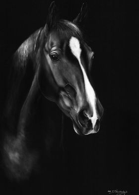 Beautiful Horse Painting  