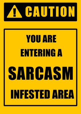 Sarcasm Danger