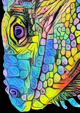 Rainbow reptile
