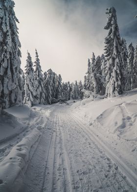 Snowy road ahead
