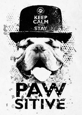 Keep Calm Stay Pawsitive