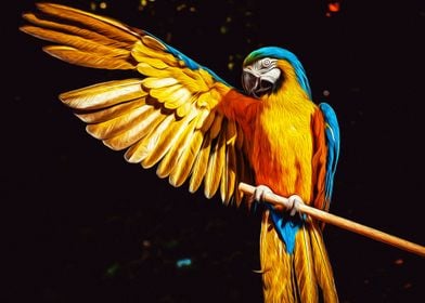 Soft oil parrot
