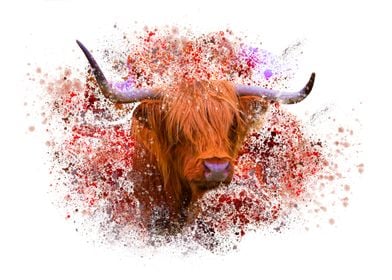 Highland cow with paint sp