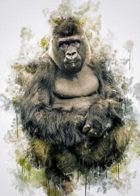 Gorilla