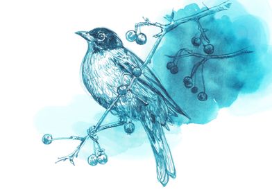 bird and berries in teal