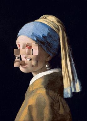 Vermeer puzzle